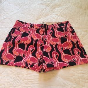 Crown and Ivy Flamingo Shorts
